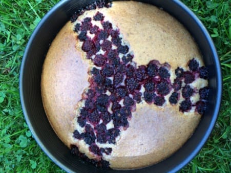 Brombeeren Kuchen Eifrei