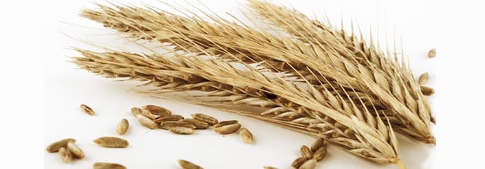 Nutritional value of grains